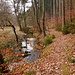im Zeitzgrund zwischen Janis- und Ziegenmühle