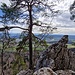 Blick nach Solothurn mit Aareschlaufen.