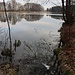 Münzbach, Mündung in den Rothbächer Teich (Bild vom 23.03.2025)