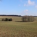 Vermutlich historischer Grabenlaufrest (Alter Großhartmannsdorfer Kunstgraben?)<br />Höhenmäßig ist dieser Rest in etwa in der Mitte zwischen Kohlbach Kunstgraben und Müdisdorfer Kunstgraben einzuordnen.