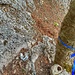 hinter dem Baum, am kurzen Fixseil runter