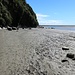 Am Südufer des Tongapōrutu Rivers