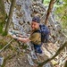 luftige Querung (Klettersteig)