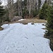 Hier weglos zum Ptk. 1143m
