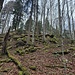 Unser Aufstieg auf den Grat
