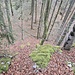 Rückblick