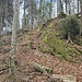 Hier geht es wieder auf den Wanderweg