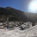 Isola