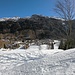 Isola