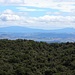 Pureora und Titiraupenga