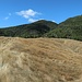 Der erste Abschnitt der Wanderung führt über eine Weide. Es ist schon Ende Sommer, das merkt man am vertrocknetem Gras....