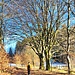 Bei Alzen