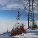 tolle Stimmung