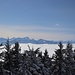 Gipfelblick nach Westen