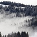 der Nebel wabert