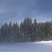 a bissal Winter