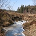 An der jungen und gefrorenen Rur