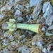 Littering!!! 