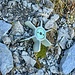Littering