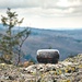 Vermessungspubkt am Meisenstein. In Wanderkarten wird der Fels oft als "Beerberg" angegeben.