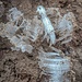 Kammeis im Waldboden - es war recht kühl.