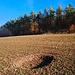 Dolinen wie diese findet man zwischen Hofheim, Goßmannsdorf und Ostheim immer wieder, vor allem auf den landwirtschaftlichen Flächen, wo sie gut zu sehen sind. Ein Foto auf einer weiteren Infotafel zeigt ein beeindruckendes Beispiel.