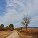 Rückblick nach Ostheim.