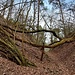 Früher wurde dieser Basalt abgebaut. Der heute in NO-SW-Richtung aufgeschnittene alte Steinbruch zeugt davon, dass hier vor und nach dem 2. Weltkrieg das Gestein gewonnen wurde. Das Material wurde in den 50iger Jahren für die Flurbereinigungswege in der Umgebung als Pflaster, Randsteine oder Schotter verwendet.
