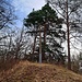 ...dann ist der Gipfel des Streifbergs (317 m) erreicht.