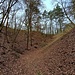 Die basaltgefüllten Spalten und ebenso auch die Basaltschlote (Bramberg, Zeilberg) entstanden im Zusammenhang mit dem Vulkanismus der Rhön. Das vulkanische Gestein im Aufschluss ist hellgrau bis dunkelblaugrau und stark verwittert.