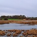  Der Teich wurde früher als Fischteich genutzt. Allerdings gab es durch Austrocknen und Durchfrieren wieder Probleme. <br />