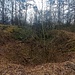 Dann passiert man ein Loch: eine Doline. Sie hat einen Durchmesser von über sechs Metern. In der 1963 entstandenen Einsturzdoline sind die violetten dolomitischen Tonmergel der Grundgipsschichten und Hellmitzheimer Bank erschlossen.