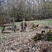  Kurz danach weisen Schilder rechts hinauf zu einer kleinen kunsthistorischen Besonderheit. Mitten im Wald befindet sich eine Ölberg-Gruppe