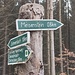 Der Meisenstein kommt näher. Die Tour kann man ggf. auch mit dem Dicelstein und dem Backofenloch (einer Höhle) am Großen Wartberg kombinieren, das haben wir aber nicht getan.