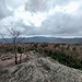 Am Meisenstein.