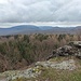 Am Meisenstein.