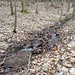 Rinnsal des obersten Schmerlingsbachs.