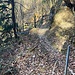 nicht mehr alle Wegsicherungen sind in Form