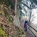 ... zu einer gesicherten Passage - mit speziellem, am Fels sich haltenden Baumfuss