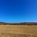 Blilck nach Osten.
