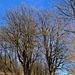 ...zurück nach Hildburghausen brachte. 
