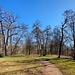Wir durchwanderten den Schlosspark...