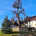 In Eishausen.