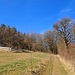 ...zum Werra-Burgen-Steig, der dann den Krautberg auf dessen Nordseite passiert und uns schließlich ...