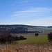...hinunter in das Tal zwischen Birkenfeld im Norden und Eishausen im Süden. Durch dieses Tal ging's dann nach Eishausen.