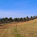 Wir wanderten nun über den Stadtberg nach Süden, einen Hang hinunter .
