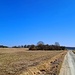 Auf diesem Feldweg ging's weiter.