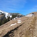 An der Rauheck-Alm