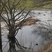 Die Enten freuts