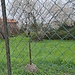 è primavera.......cielo coperto!